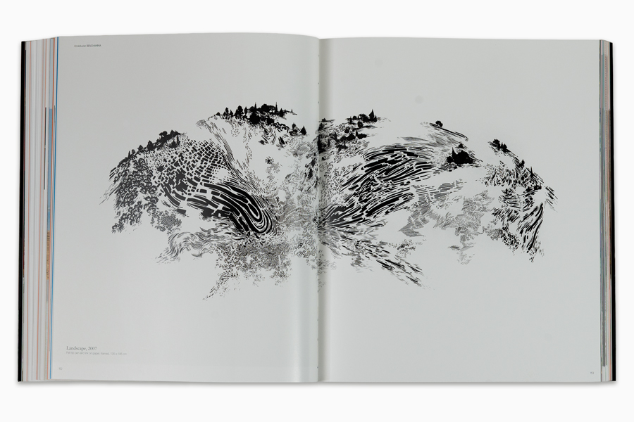 2008_galerie_enrico_navarra-in_the_arab_world_now-30